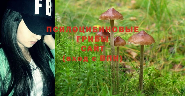 spice Вуктыл