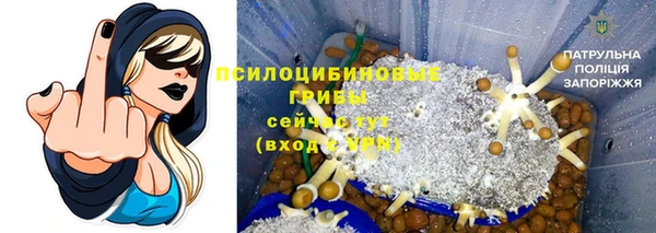 наркотики Белокуриха