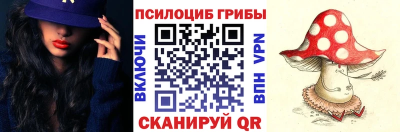 кракен ONION  Калининец  Псилоцибиновые грибы прущие грибы 